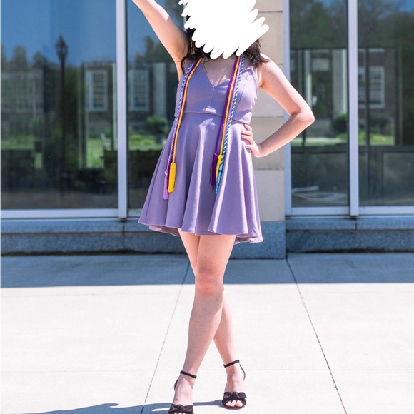 Windsor Mauve Skater Mini Dress (Size XS) - Picture 4 of 4